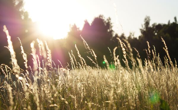 How to hold on to joy and prolong feelings of happiness