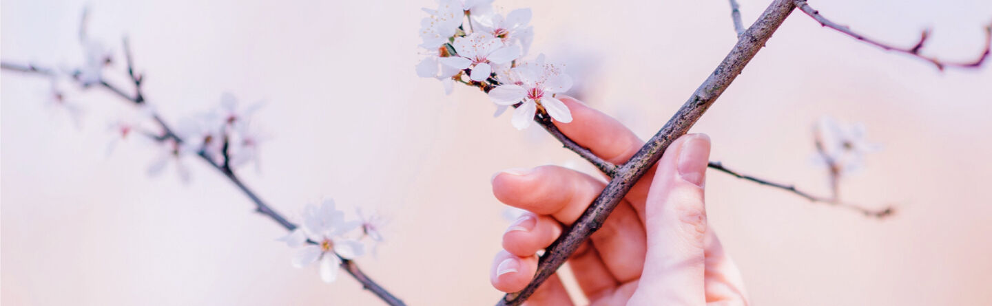 Nevroplastisitet: Slik kan du omkoble hjernen din for ro