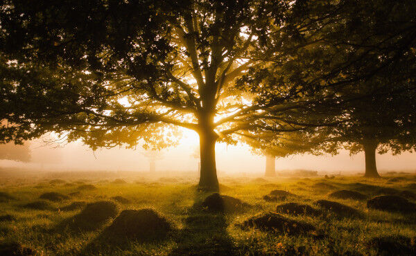 A grounding chakra meditation that will leave you feeling balanced and calm