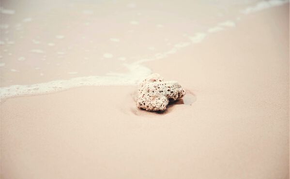 A single coral stone on the shore as waves gently approach – a quiet symbol of cause, effect and the flow of karma.