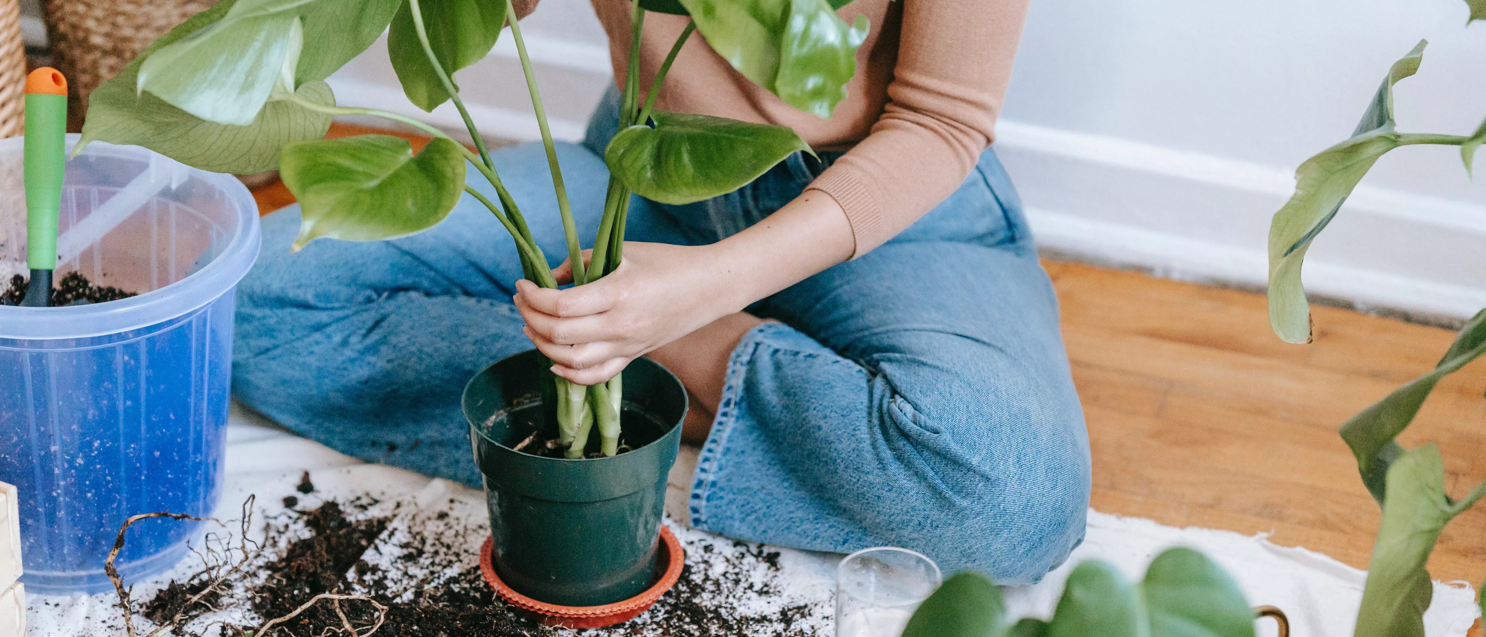 Den helande kraften i medvetet tr&auml;dg&aring;rdsarbete