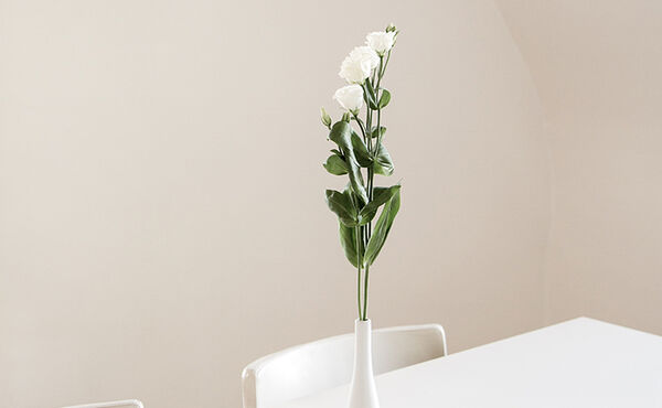 White room with roses in a vase