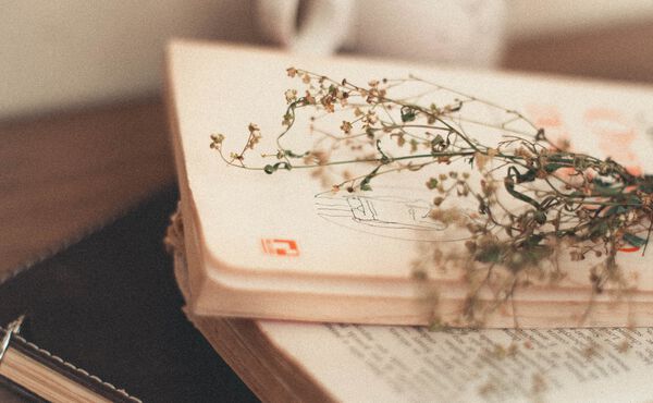 Laissez-vous séduire par la beauté des haïkus : la poésie japonaise