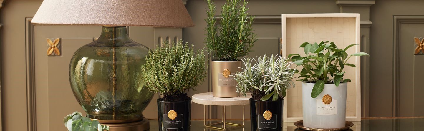 La maison du bien-&ecirc;tre : une cuisine et salle &agrave; manger plus &eacute;co-responsable 