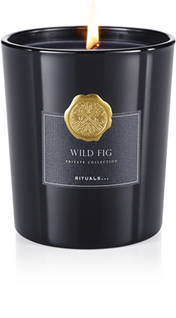 Wild Fig Scented Candle