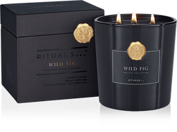 XL Wild Fig Scented Candle
