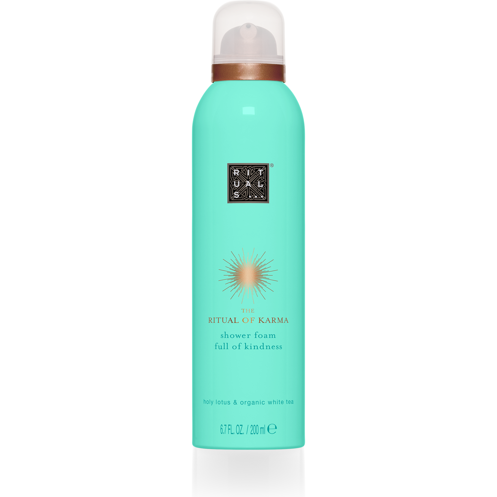 The Ritual of Karma Specialutgåva RITUALS