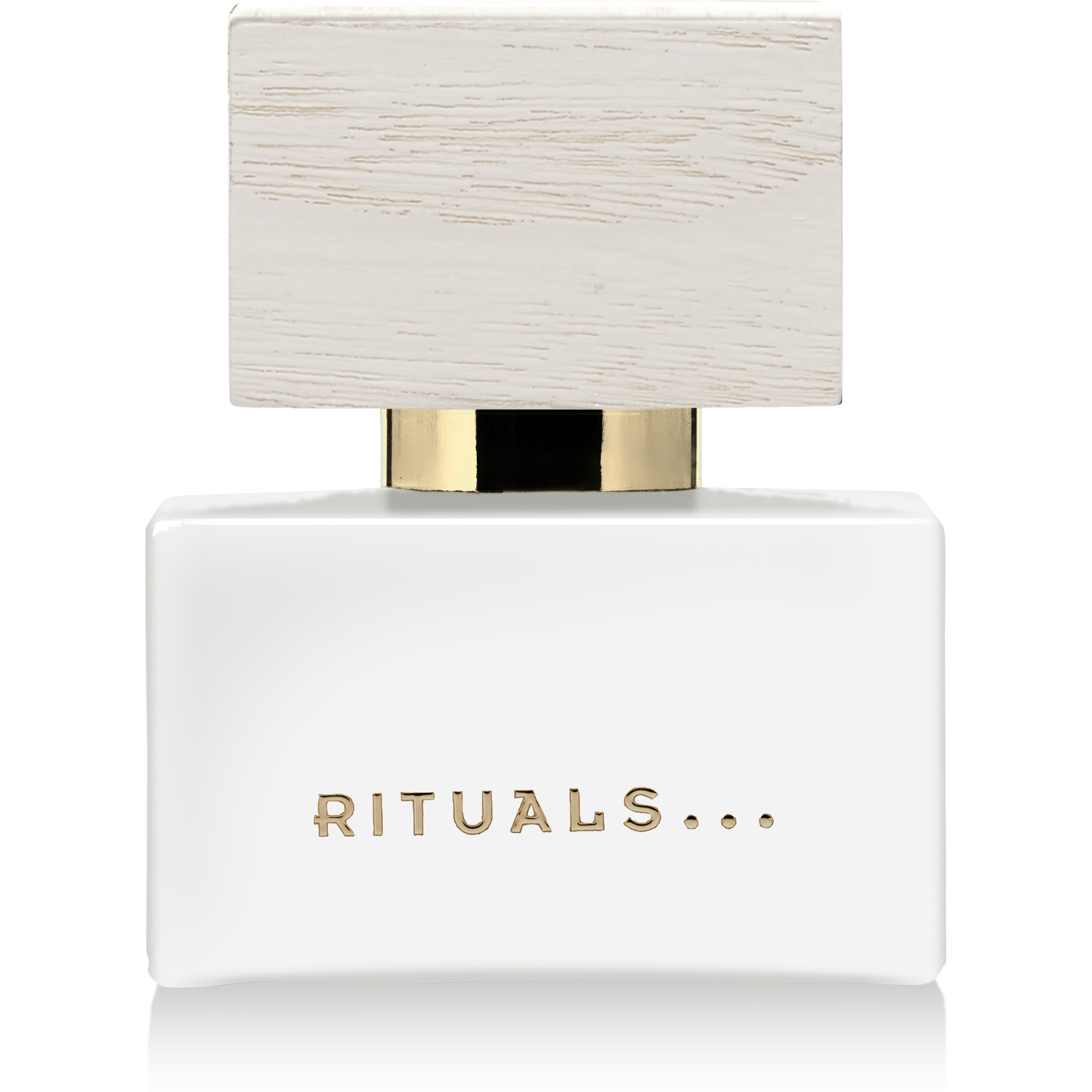 Travel - Oasis Verte