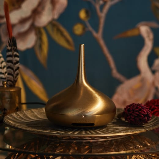 Discover the perfume genie