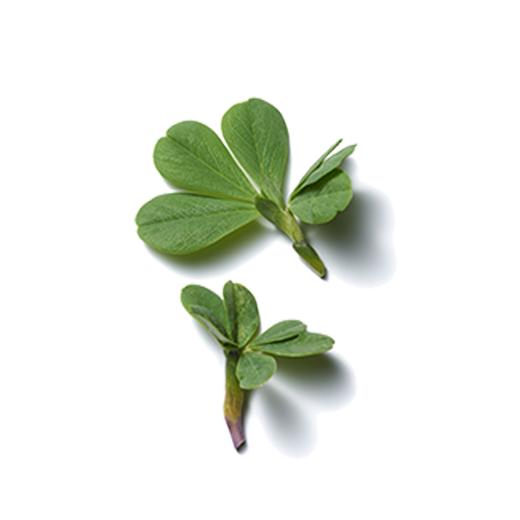 ritual of namaste glow radiance anti aging serum